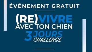 (Re)Vivre Avec Ton Chien - 3 Jours Challenge GRATUIT !