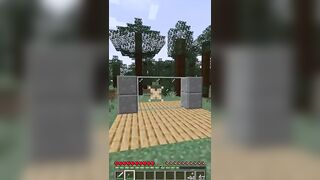 Minecraft Reality vs Realistic COMPILATION