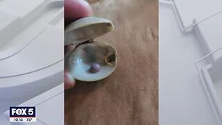 Rare purple pearl found inside clam at Rehoboth Beach restaurant | FOX 5 DC