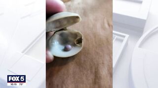 Rare purple pearl found inside clam at Rehoboth Beach restaurant | FOX 5 DC