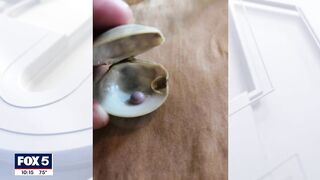 Rare purple pearl found inside clam at Rehoboth Beach restaurant | FOX 5 DC