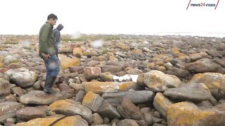 WATCH | Rare sighting: Giant squid found on Scarborough beach