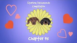 Starbox Dachshunds Compilation Chapter 95