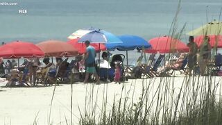 2 swimmers survive shark attacks on the same day at Myrtle Beach