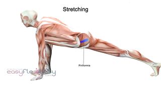 YOGA SUN SALUTATIONS SEQUENCE MUSCLE ANATOMY ANIMATION ROUTINE ON HOW TO DO SUN SALUTATIONS IN YOGA