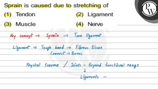 Sprain is caused due to stretching of (1) Tendon (2) Ligament (3) M...