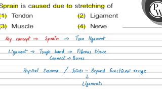 Sprain is caused due to stretching of (1) Tendon (2) Ligament (3) M...