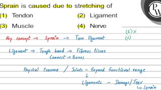 Sprain is caused due to stretching of (1) Tendon (2) Ligament (3) M...