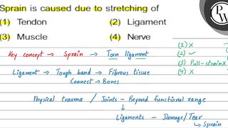 Sprain is caused due to stretching of (1) Tendon (2) Ligament (3) M...