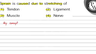 Sprain is caused due to stretching of (1) Tendon (2) Ligament (3) M...