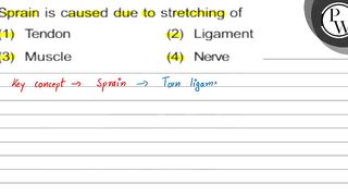 Sprain is caused due to stretching of (1) Tendon (2) Ligament (3) M...