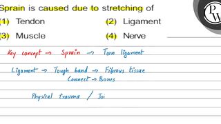 Sprain is caused due to stretching of (1) Tendon (2) Ligament (3) M...