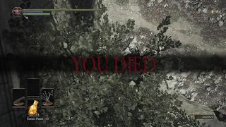 Thank you Dark Souls compilation 205