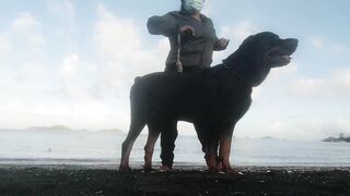 ROTTWEILER AND ME BUDOTS SA BEACH#shortvideo