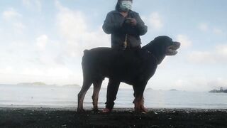 ROTTWEILER AND ME BUDOTS SA BEACH#shortvideo