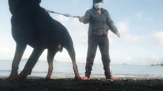 ROTTWEILER AND ME BUDOTS SA BEACH#shortvideo