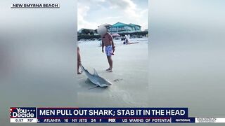 Video: Men catch shark at Florida beach, stab it in the head -- here's why it's legal