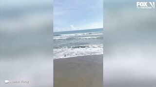 Video: Shark spotted swimming just feet from shore at Florida beach