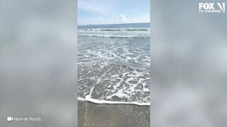 Video: Shark spotted swimming just feet from shore at Florida beach