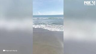 Video: Shark spotted swimming just feet from shore at Florida beach