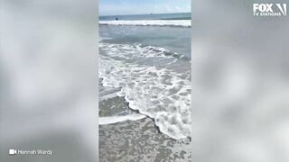 Video: Shark spotted swimming just feet from shore at Florida beach