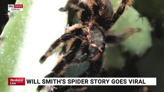 Will Smith crawls back onto Instagram with spider video