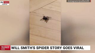 Will Smith crawls back onto Instagram with spider video