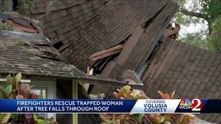 89-year-old Daytona Beach woman hospitalized after tree falls on house