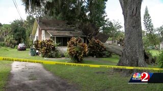 89-year-old Daytona Beach woman hospitalized after tree falls on house