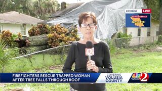 89-year-old Daytona Beach woman hospitalized after tree falls on house