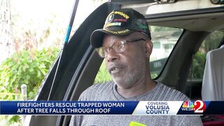 89-year-old Daytona Beach woman hospitalized after tree falls on house