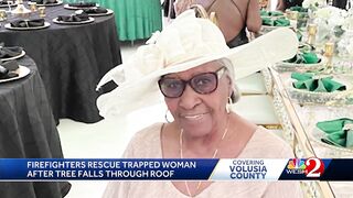 89-year-old Daytona Beach woman hospitalized after tree falls on house