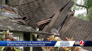 89-year-old Daytona Beach woman hospitalized after tree falls on house