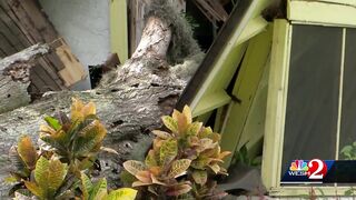 89-year-old Daytona Beach woman hospitalized after tree falls on house