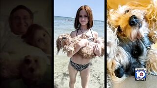 Family loses dog during beach day in South Florida