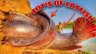 Funny hand fishing video ???????? mangur fish????#incredible_fishing #shorts