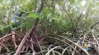 Thousands of volunteers expected at South Florida beaches for International Coastal Cleanup