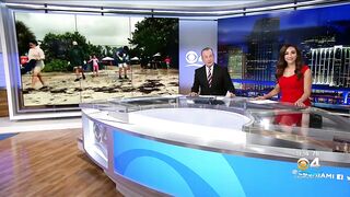 Thousands of volunteers expected at South Florida beaches for International Coastal Cleanup