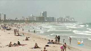 Thousands of volunteers expected at South Florida beaches for International Coastal Cleanup