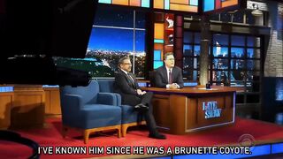 Late Show Me More: "A Silver Fox"