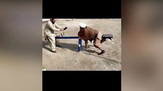 Best Funny Videos - Funny Compilation ???? Cutest People Doing Funny Things ????????TRY NOT TO LAUGH