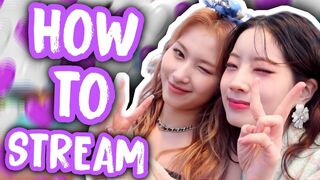 SAIDA teaches you how to stream properly