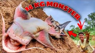 Funny hand fishing video ???????? big golden fish ????#incredible_fishing #shorts