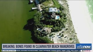 Bones found in mangroves on Clearwater Beach ‘appear to be human’, police say