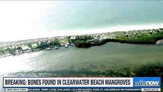 Bones found in mangroves on Clearwater Beach ‘appear to be human’, police say