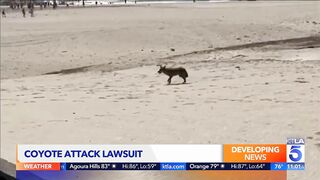 Huntington Beach coyote attack lawsuit