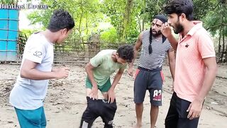 Funny Comedy Video 2022 Nonstop funny comedy video amazing scens by BINDAS LOVER