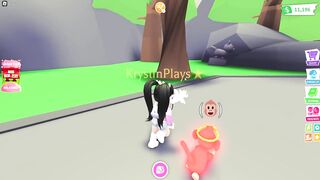 THINGS YOU MISSED IN THE ADOPT ME UPDATE! (roblox)