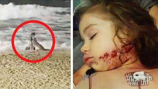 Mother of Toddler Attacked by Coyote Intends to Sue Huntington Beach