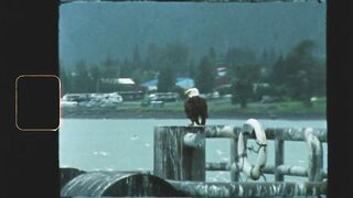 Thank You, Alaska | SUPER 8 Travel Film